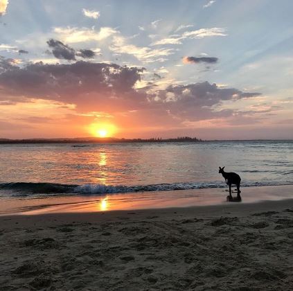 One of the many beaches Australia has to offer.