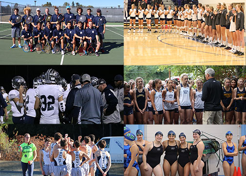 A compilation of all of the fall sports teams.
Credit: Various Photographers