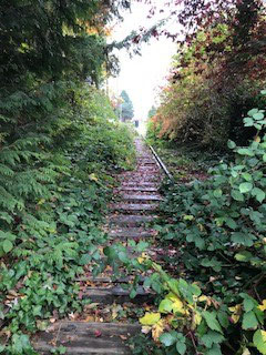 The entrance to the Snohomish Train Tressel.