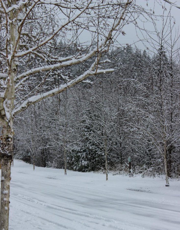 A road on a potentially dangerous snowy day.