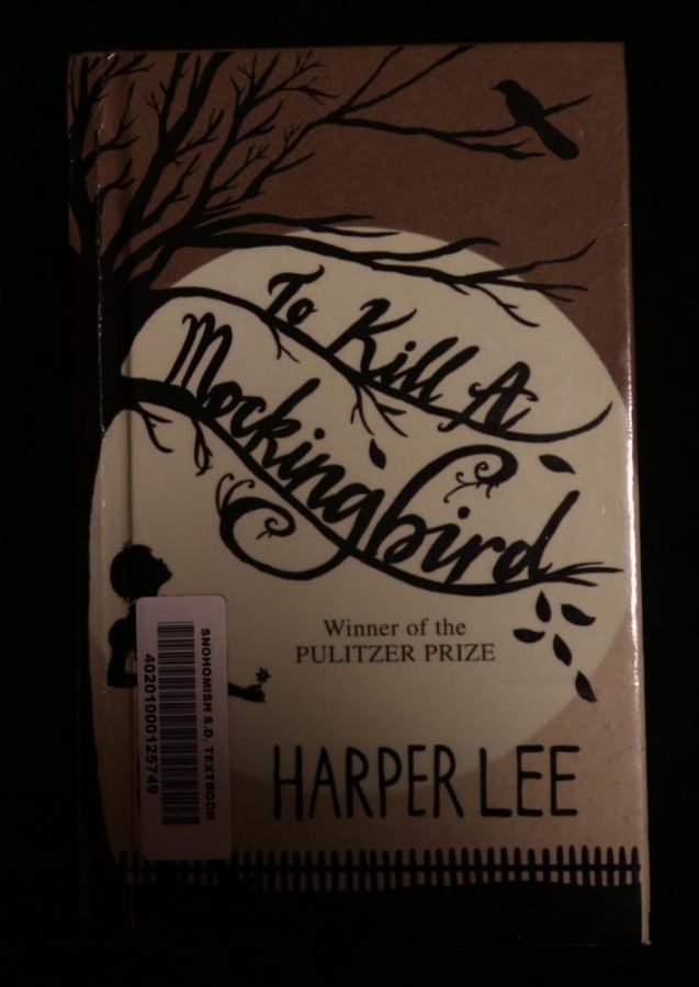 To Kill A Mockingbird Controversy