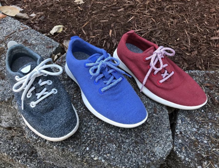 Allbirds, AKA the Best Shoe Ever