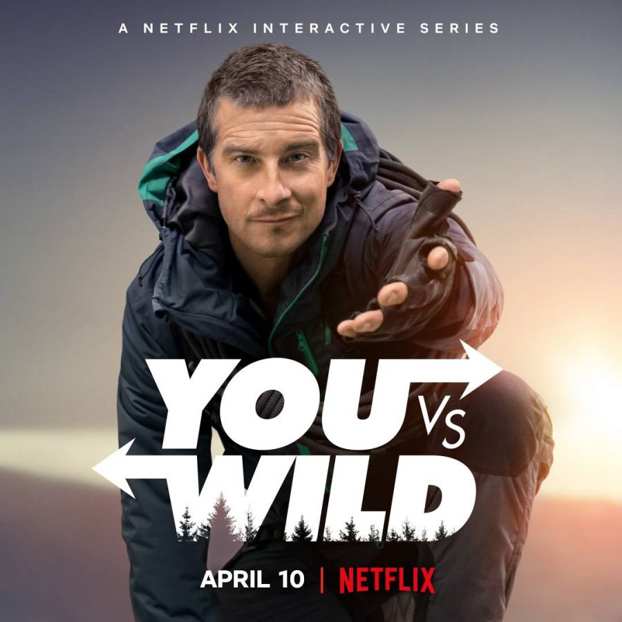 You vs. Wild