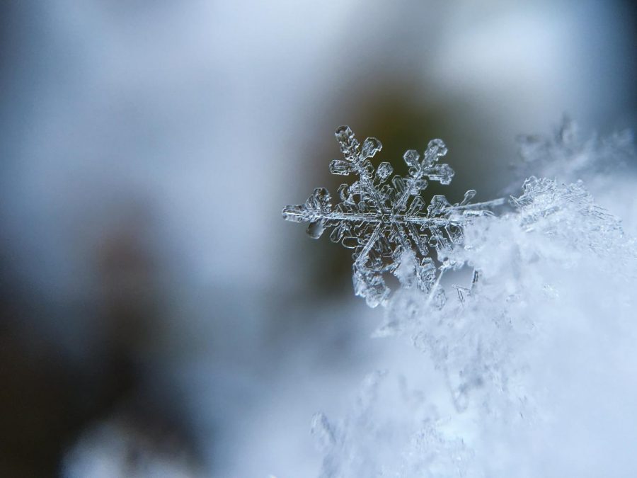 Close up photo of a snowflake by Aaron Burden