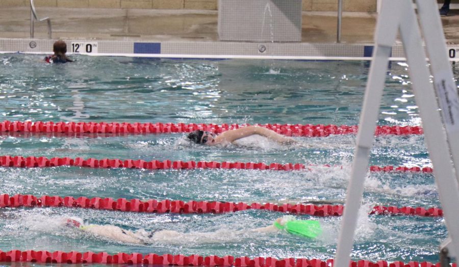 Abi Vanturennout swims a freestyle 50 yards at club swim practice.