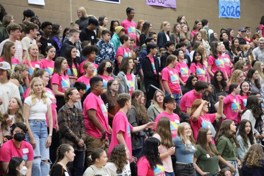 Link Crew members with the new freshmen (photo taken by Amanda Coburn)