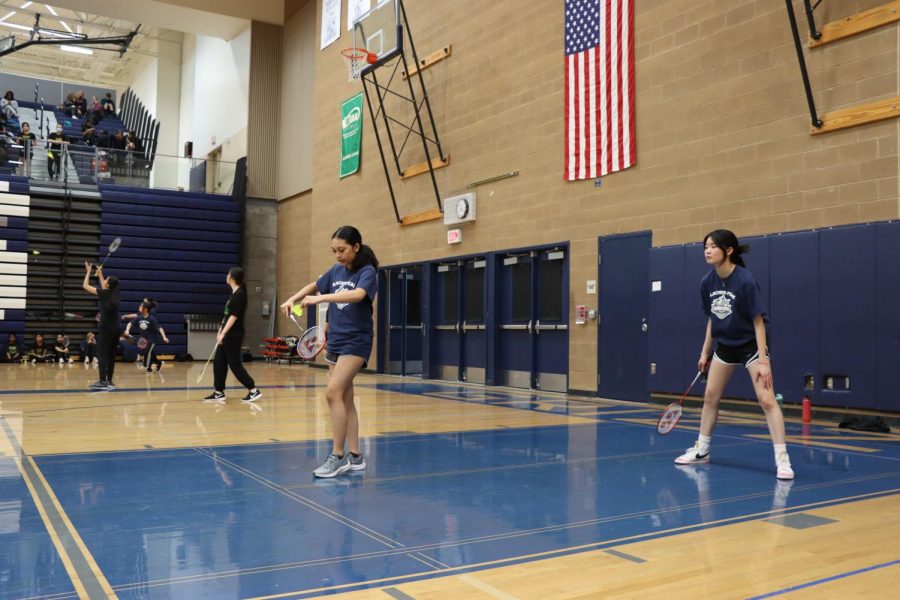 Badminton as a New Varsity Sport