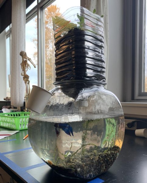 Science Students Turned Fish Keepers