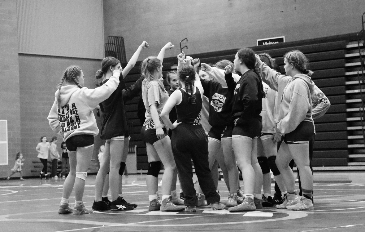 Meet the Senior Girl Wrestlers